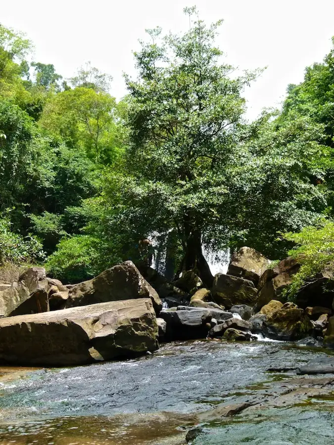 Ko Kood
