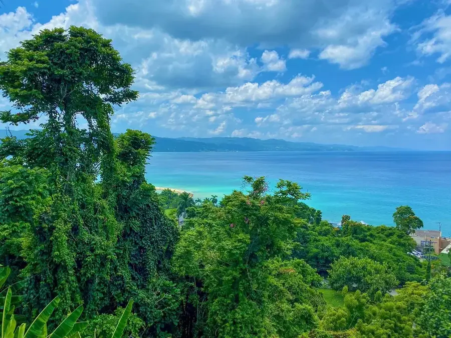 The Cage, Montego Bay — Alligator Pond River (Jamaica)