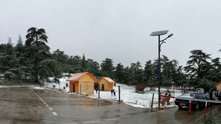 Parcul Național Theniet El Had