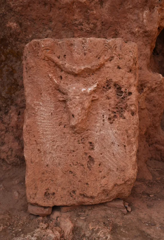 Küstenlandwirtschaft Tipaza — Médéa (Algerien)
