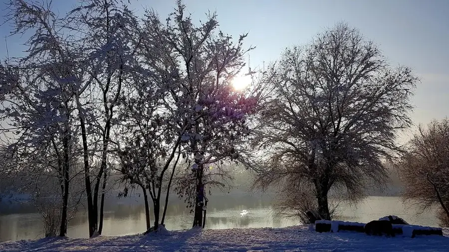 Tisza (Magyarország)