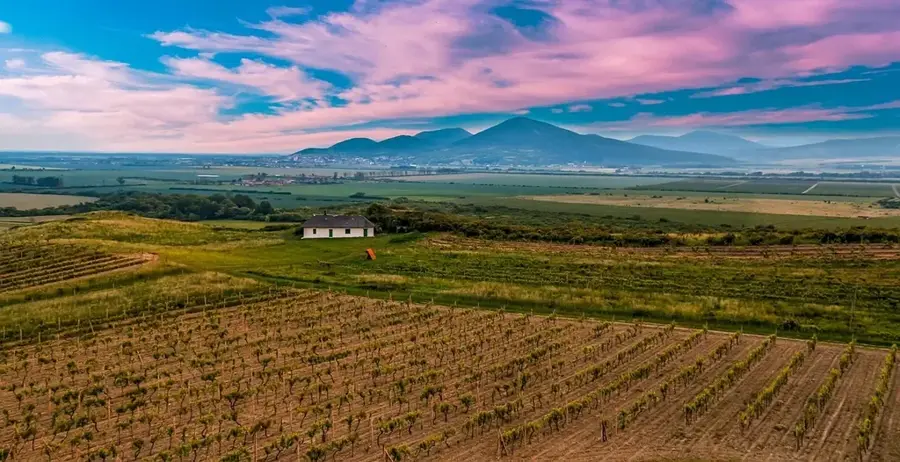 Tokaj – város