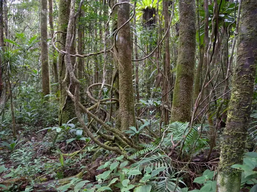 'Eua National Park