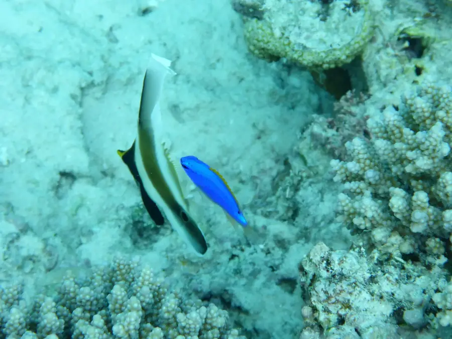 Fata 'o Tuiana Marine Reserve