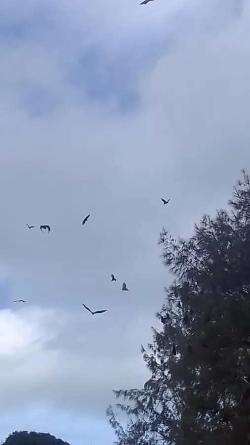 Haʻavakatolo