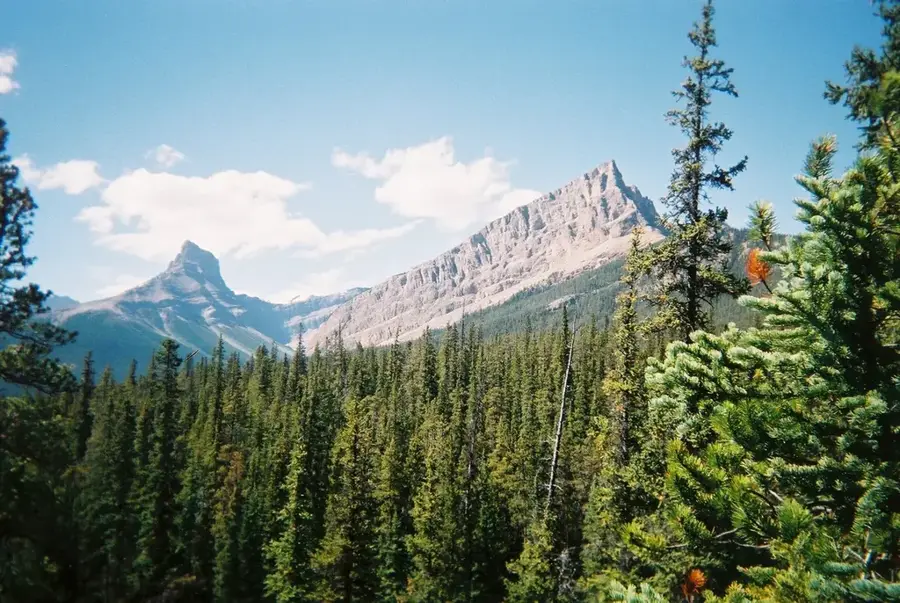 Late Island Wilderness