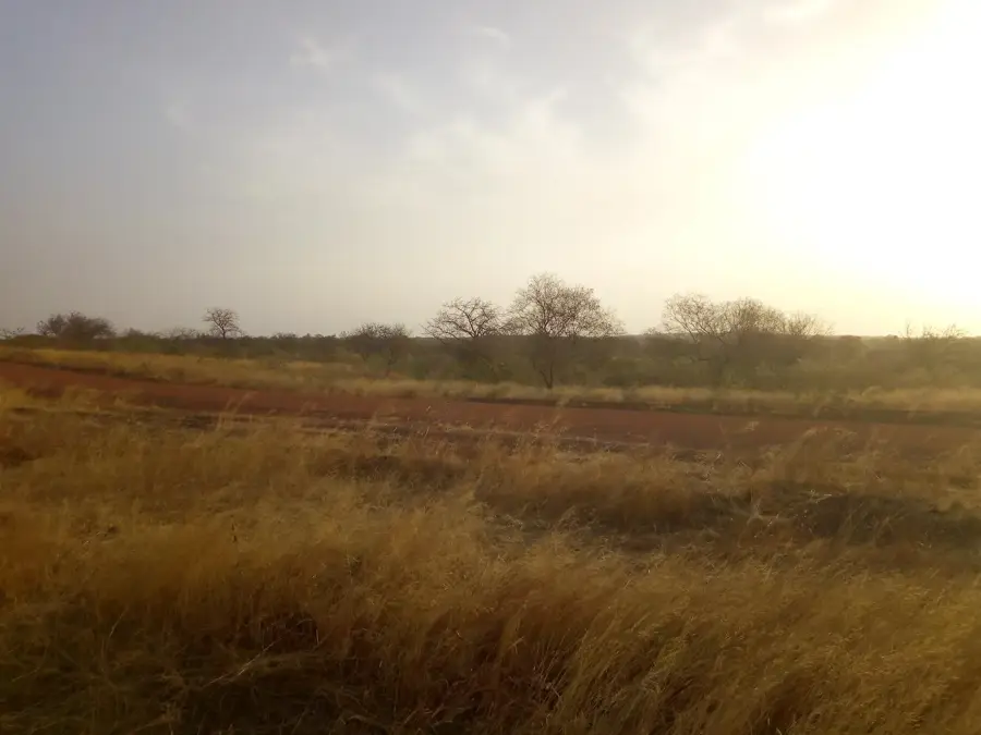 Tougan — Toma (Burkina Faso)