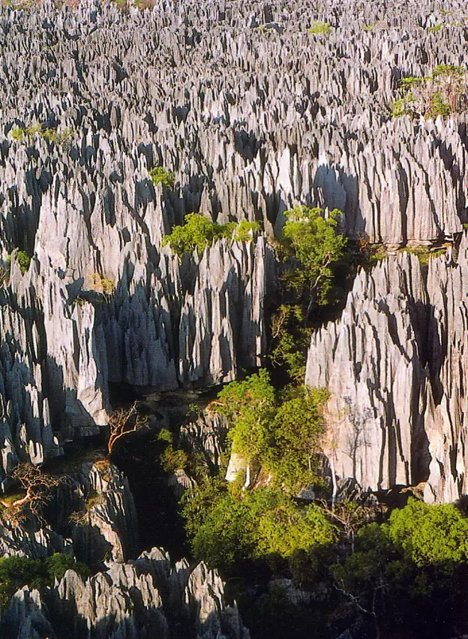Parcul Național Bemaraha — Antsalova (Madagascar)