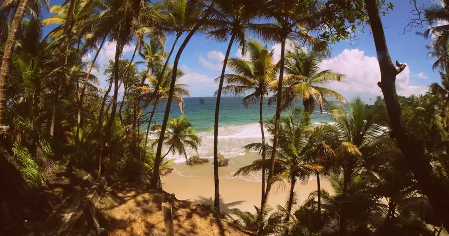 Blanchisseuse Slopes — Central Range (Trinidad and Tobago)