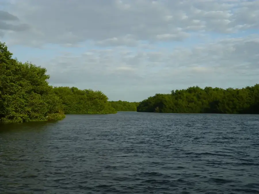 Caroni Bird Sanctuary — Temple in the Sea (Trinidad and Tobago)