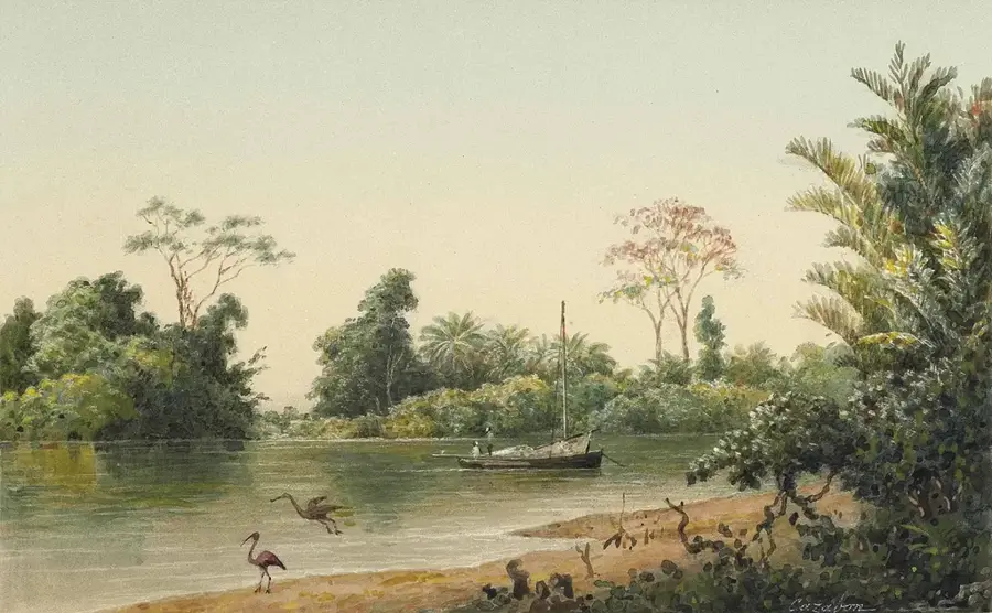 Caroni River — Godineau River (Trinidad and Tobago)