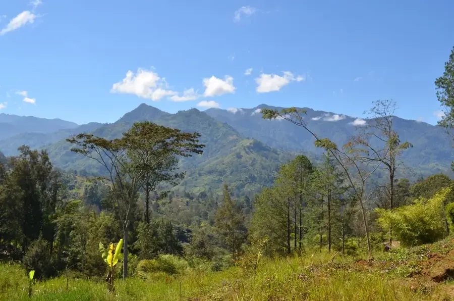 Central Range — Oropouche Lagoon (Trinidad and Tobago)