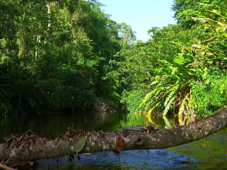 Grande Riviere Turtle Beach — Aripo Savannas (Trinidad and Tobago)