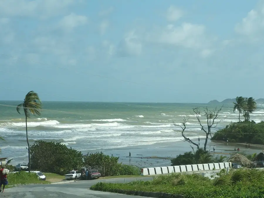 Mayaro Coast Lowlands — Trinity Hills Wildlife Sanctuary (Trinidad and Tobago)