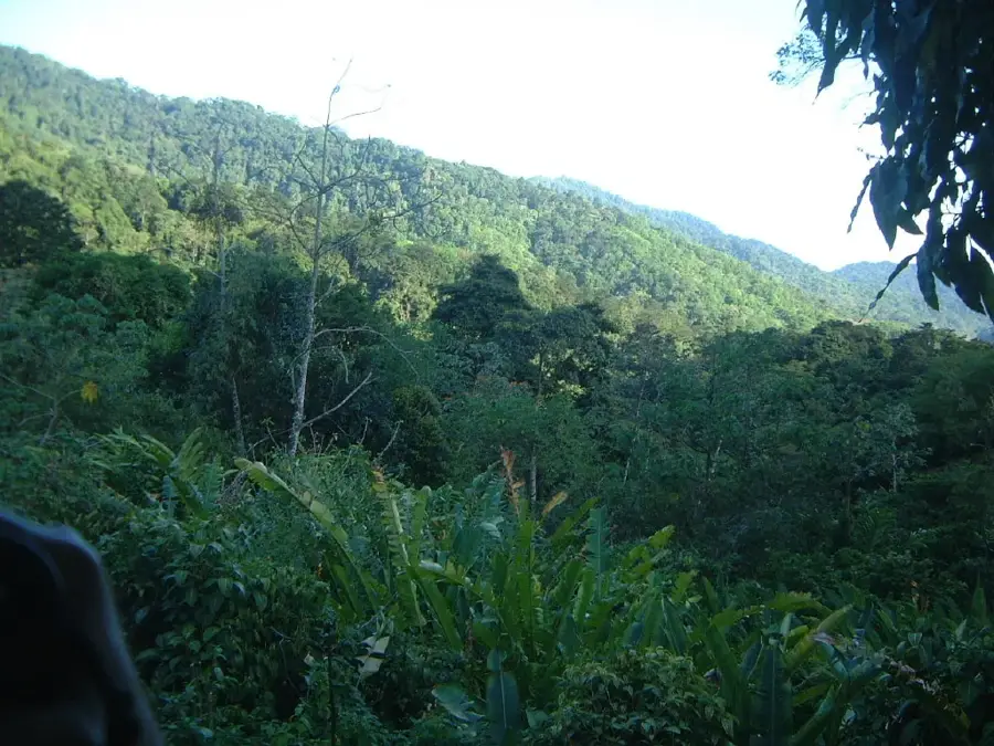 Northern Range — Central Range (Trinidad and Tobago)