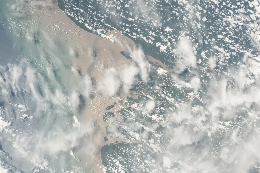 Palo Seco