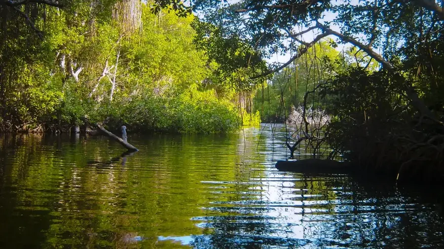 Trinity Hills Wildlife Sanctuary — Piparo (Trinidad and Tobago)