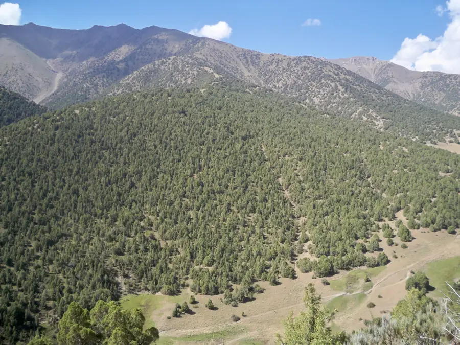 Turkestangebirge — Istarawschan (Tadschikistan)