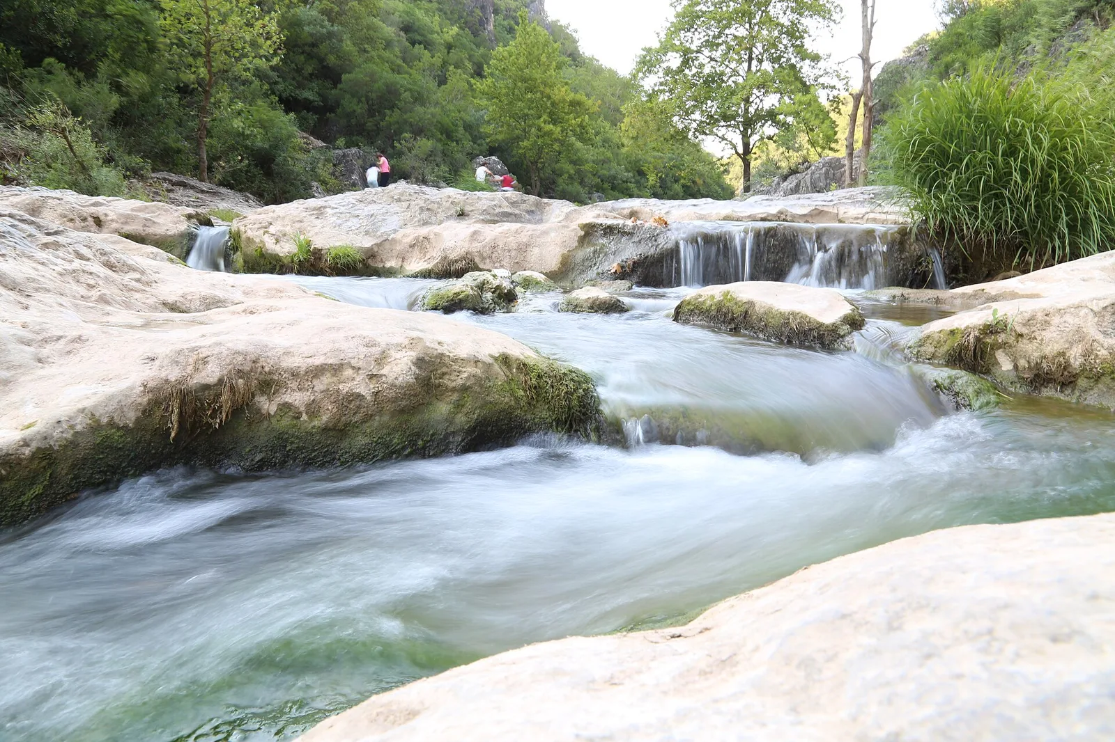 Bağırganlı — Adapazarı (Turkey)