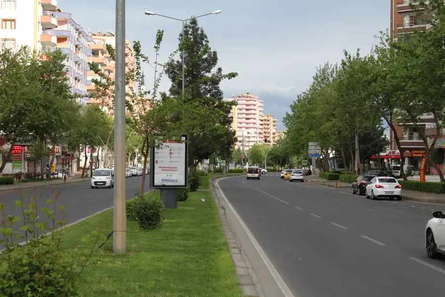 Çınar