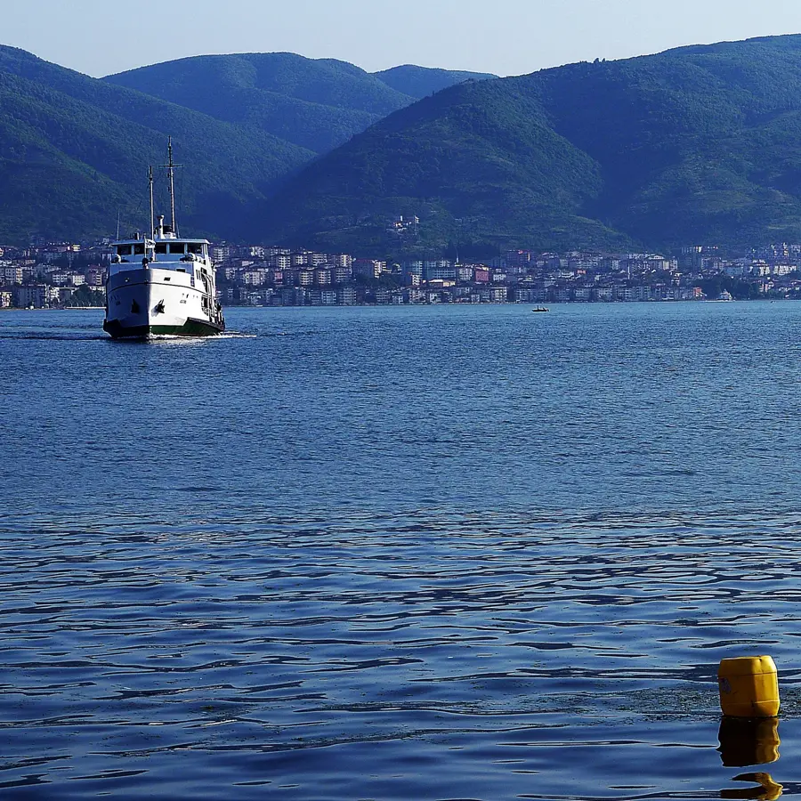 Körfez
