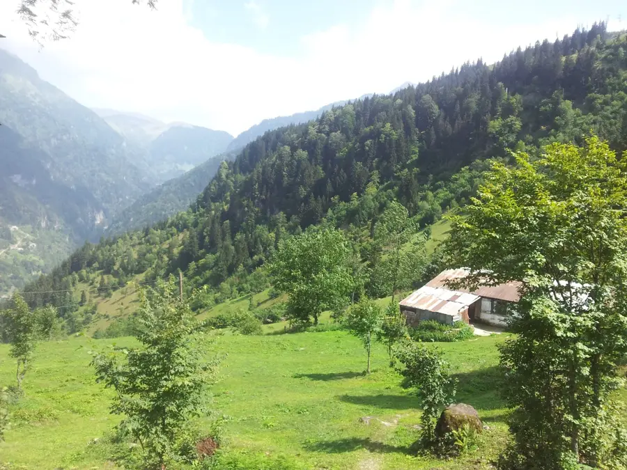 Kıyıcık