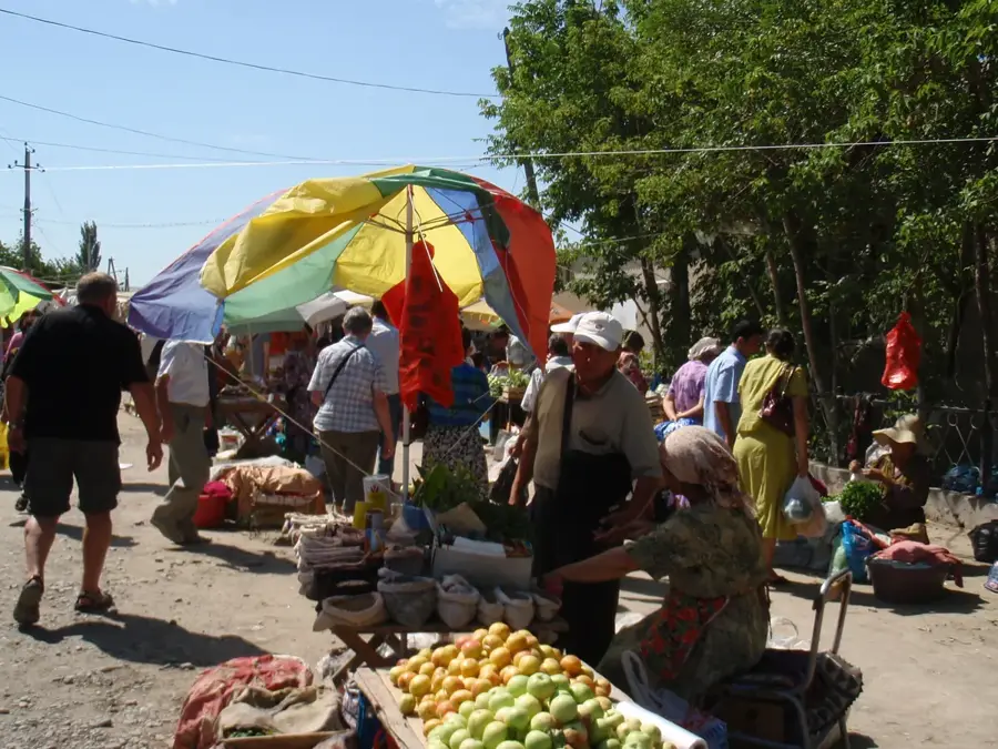 Baumwollfelder von Turkestan