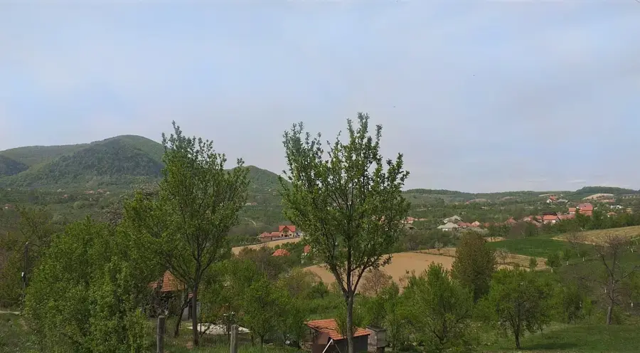 Turț – oraș