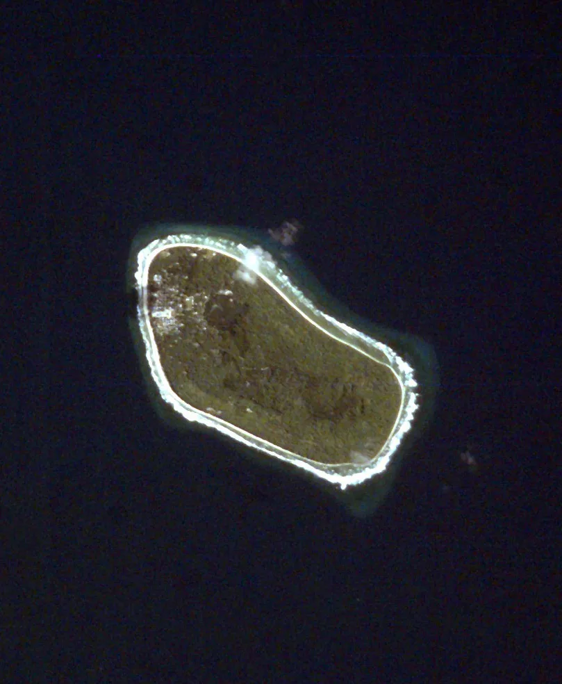 Kulia — Alapi (Tuvalu)