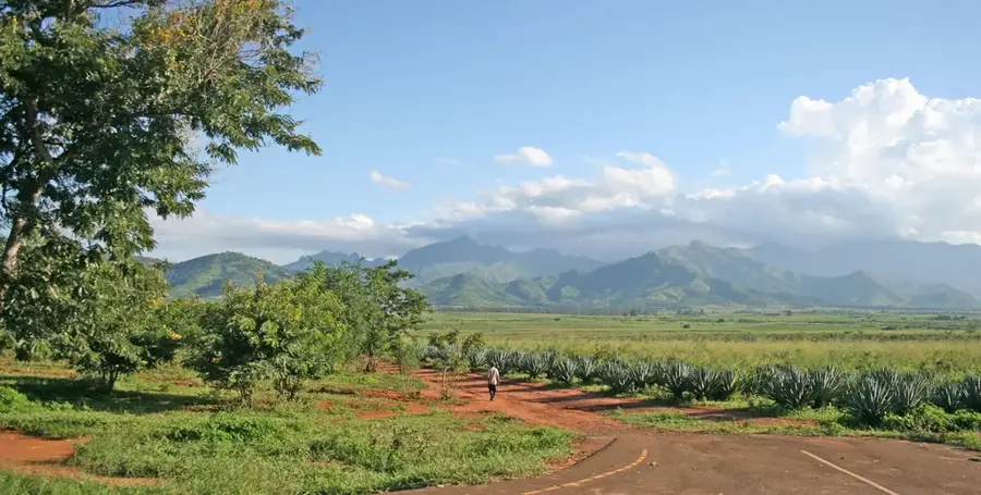 Morogoro Textilfabrik — Morogoro-Gemeindegarten (Tansania)