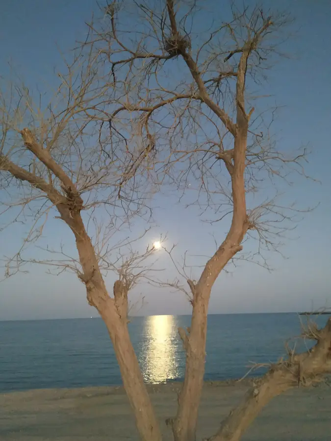 Kalba