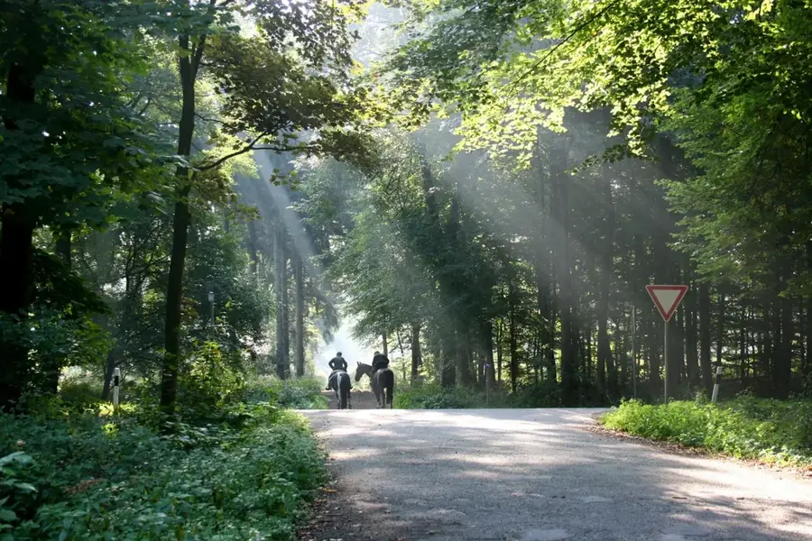 Udem-Schutzgebiet — Cheorwon-Ebene (Südkorea)