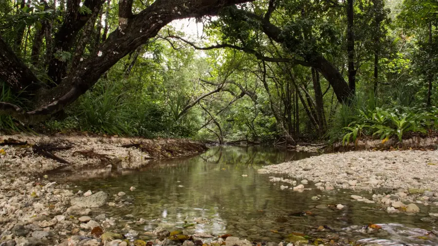 Ujung Kulon National Park (Indonesia)