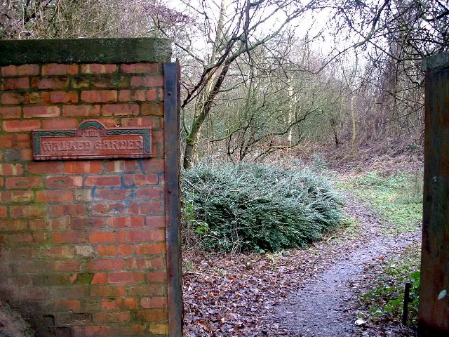 Birchwood – város
