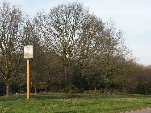 Buckhurst Hill – város
