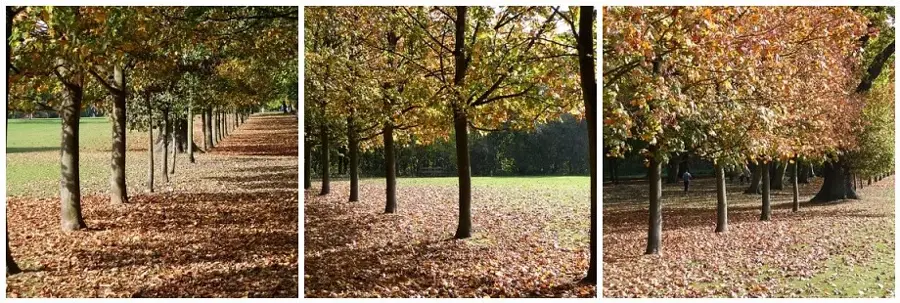 Dorridge – város