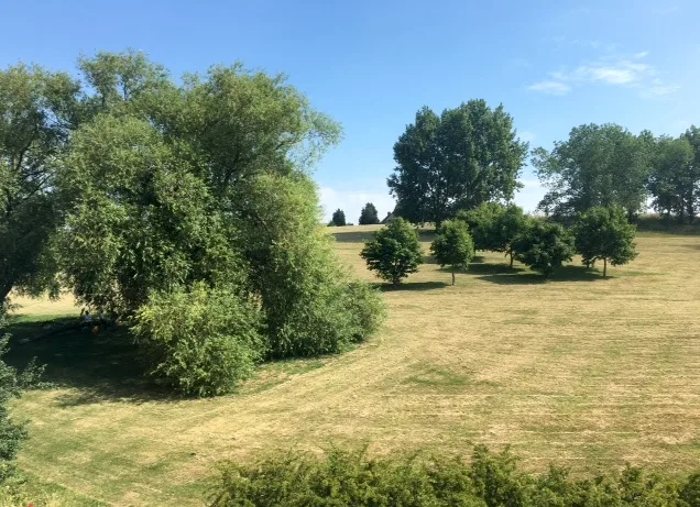Downham – város