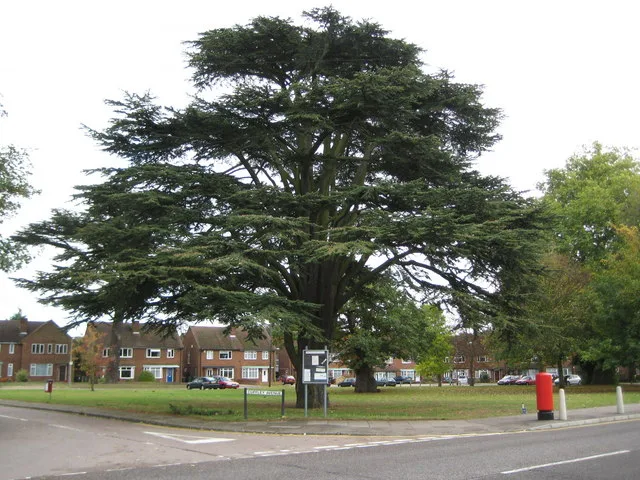 Garston – város