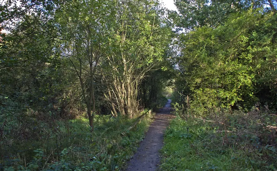 Hindley Green – város