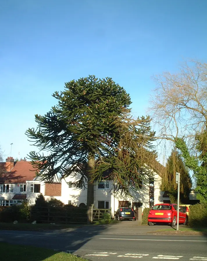 Hollywood – város