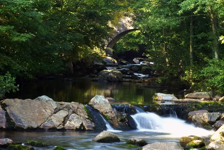 Ivybridge – város