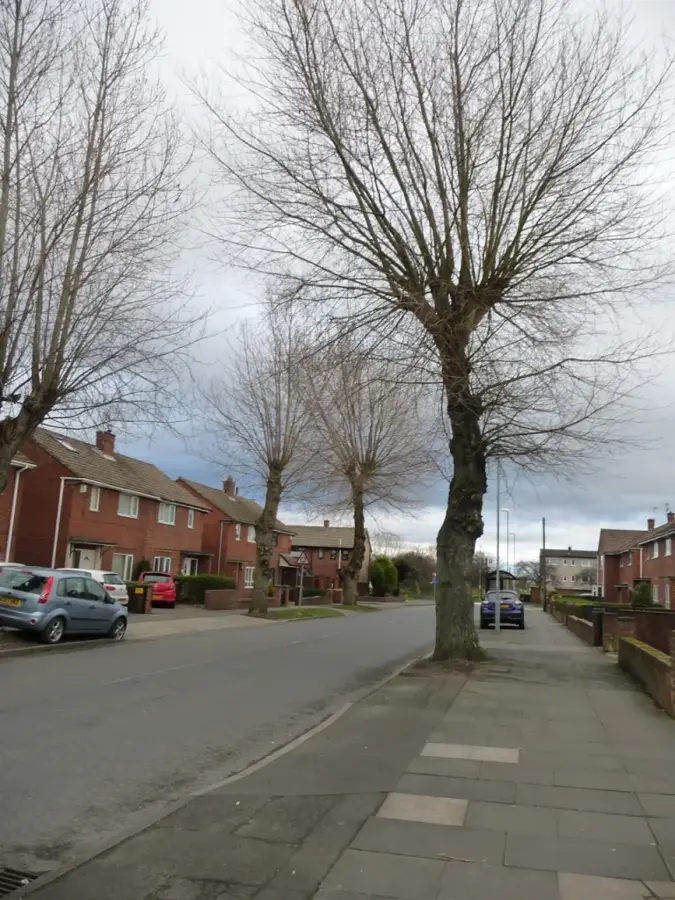 Leam Lane Estate – város