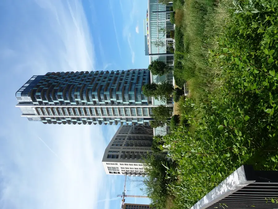 Lewisham – város