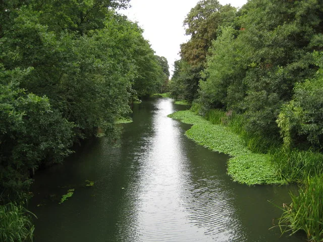 Molesey – város