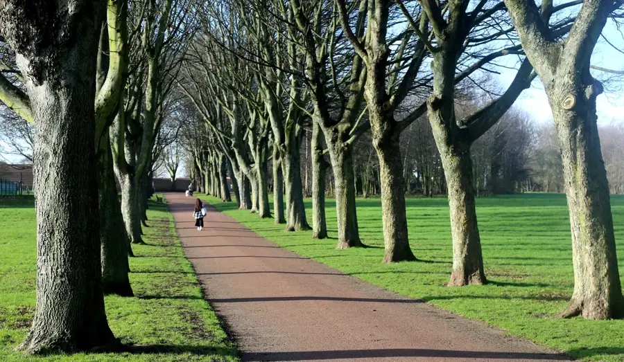 Rotherham — Bradfield (Egyesült Királyság)
