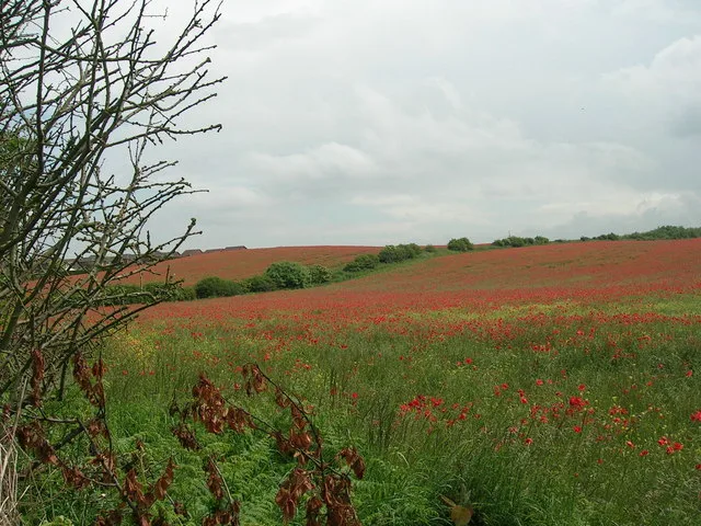 Ryton – város