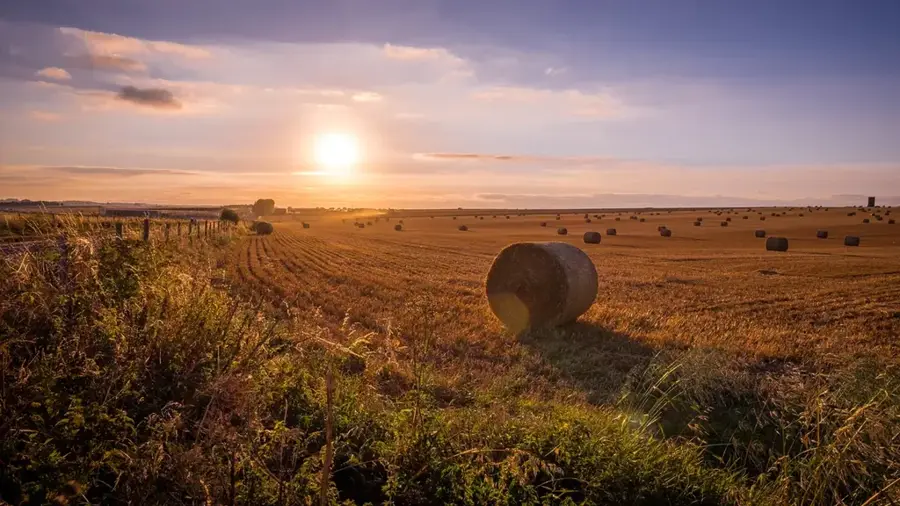 Salisbury Plain