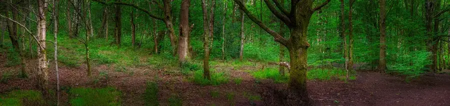Tottington – város