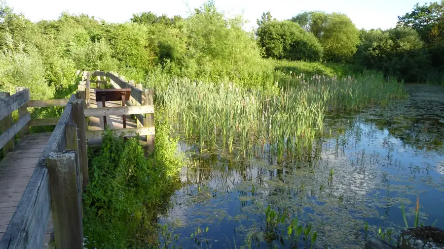 Winnersh – város
