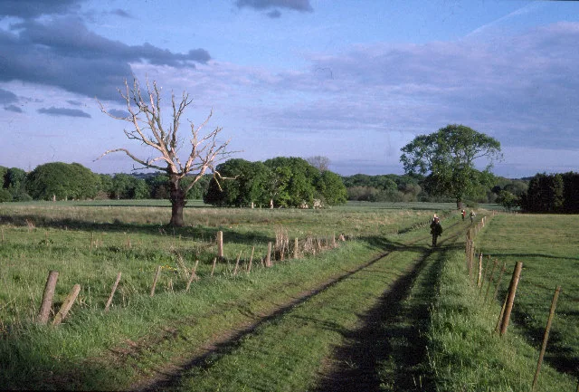Woolsington – város